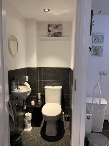 איינדהובן Jaguars Residence מראה חיצוני תמונה